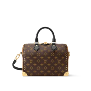 SPEEDY TRUNK 25 handbag